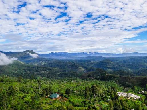 Central Highlands Tea Plantations