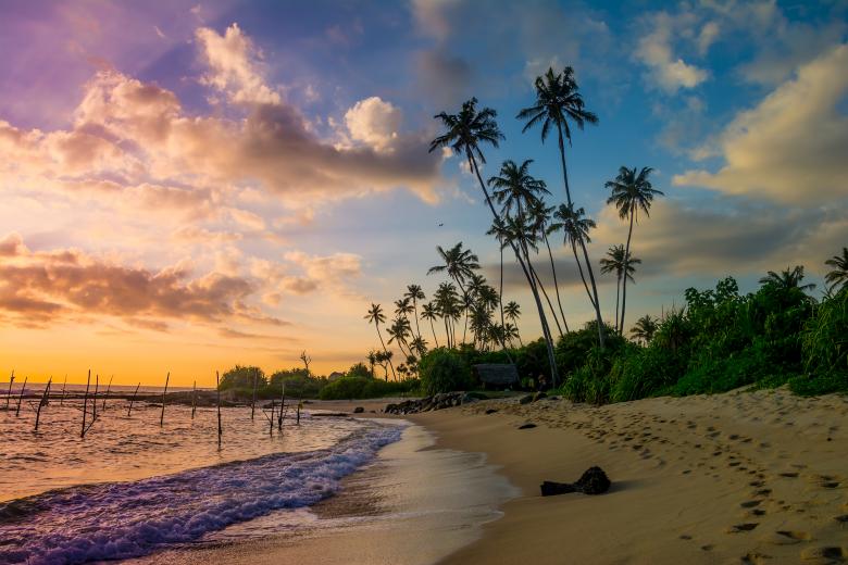 Island Escapes